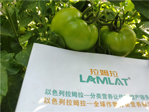 微生物菌劑，拉姆拉，伯示麥