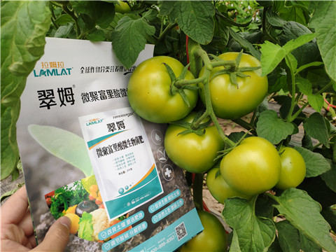 葉面肥，微生物菌劑，磷酸二氫鉀