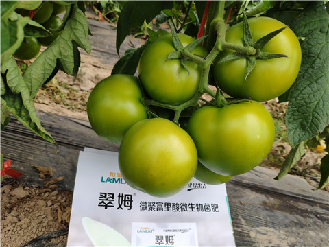 葉面肥，微生物菌劑，磷酸二氫鉀