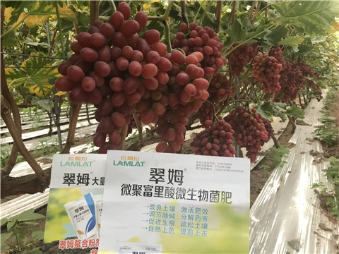 微生物菌劑，硼肥，鈣肥