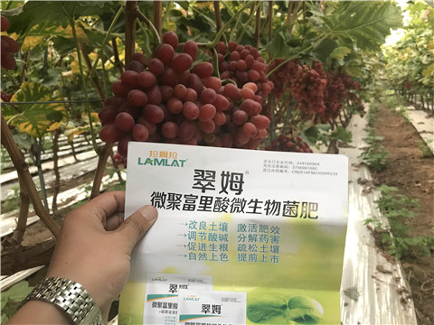 微生物菌劑，硼肥，鈣肥