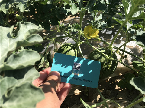 微生物菌劑，磷酸二氫鉀