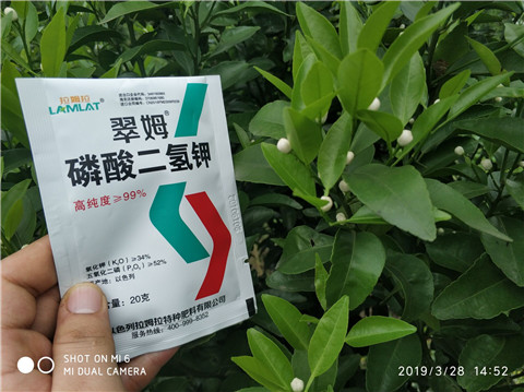 磷酸二氫鉀，硼肥，拉姆拉