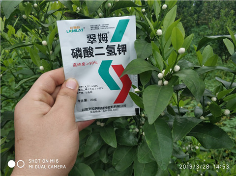 磷酸二氫鉀，硼肥，拉姆拉