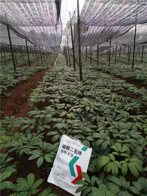 磷酸二氫鉀，安碧解，