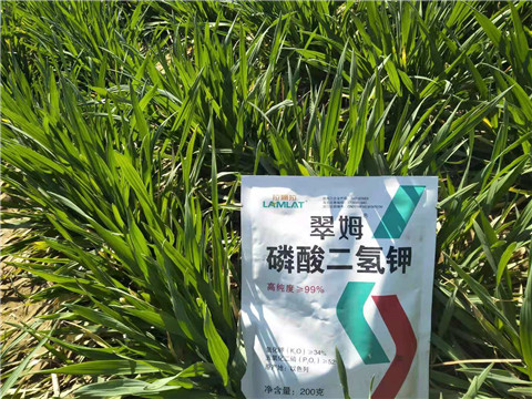 磷酸二氫鉀，葉面肥，拉姆拉