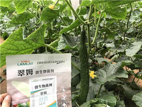 微生物菌劑，水溶肥，拉姆拉