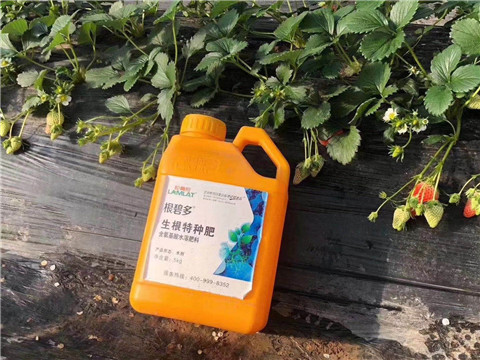 根碧多，微生物菌劑，拉姆拉