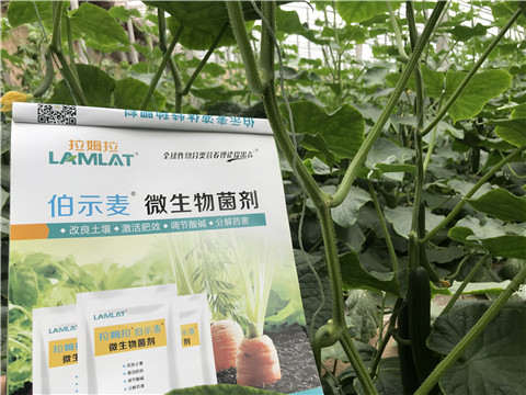 微生物菌劑，生根劑，拉姆拉