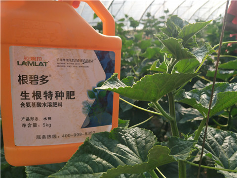 根碧多，磷酸二氫鉀，拉姆拉