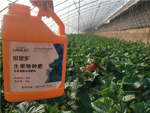 根碧多，磷酸二氫鉀，拉姆拉