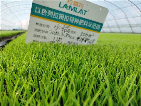 微生物菌劑，拉姆拉