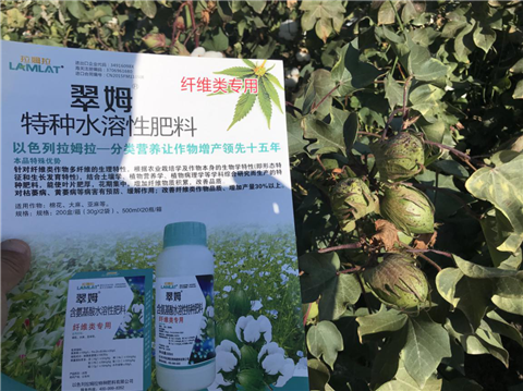 葉面肥，拉姆拉