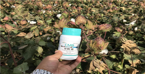 葉面肥，拉姆拉