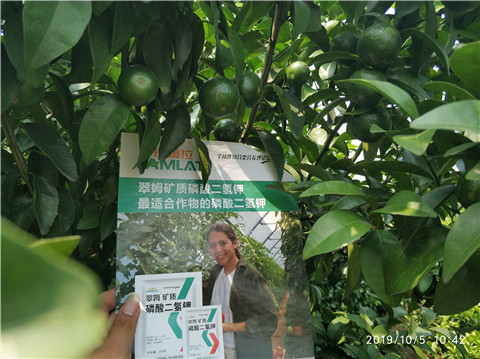 磷酸二氫鉀，拉姆拉