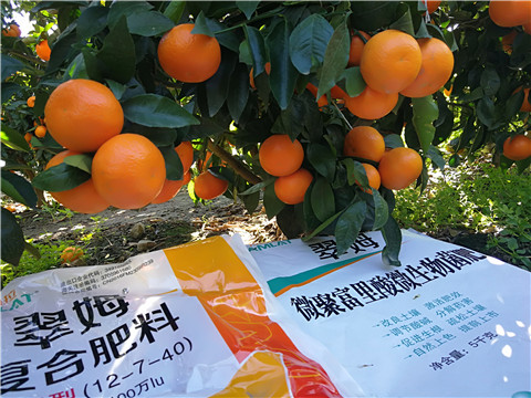 水溶肥，拉姆拉