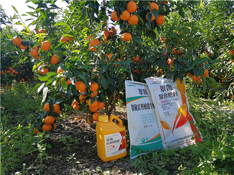 水溶肥，拉姆拉