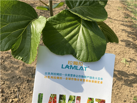 大量元素水溶肥，拉姆拉