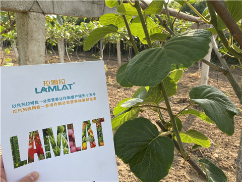 大量元素水溶肥，拉姆拉