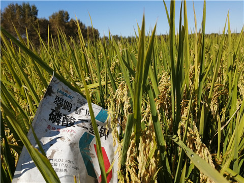 磷酸二氫鉀，翠姆，拉姆拉