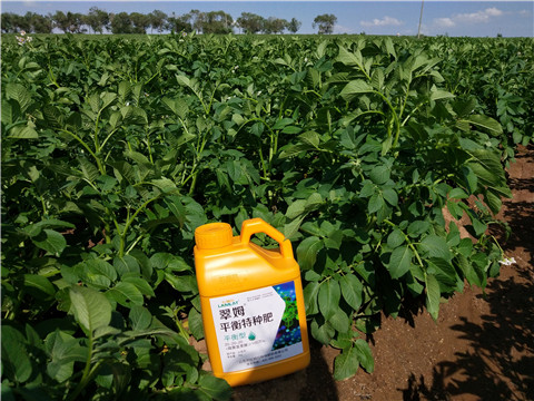 水溶肥，翠姆，拉姆拉