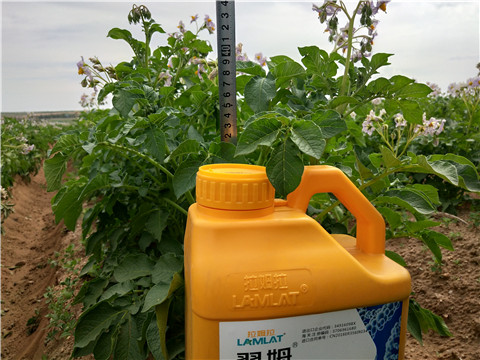 水溶肥，翠姆，拉姆拉