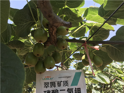 磷酸二氫鉀，拉姆拉