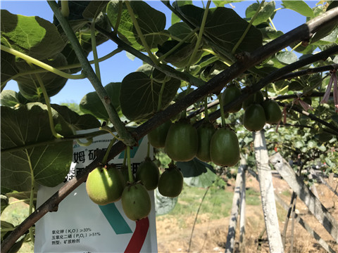 磷酸二氫鉀，拉姆拉