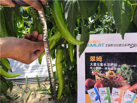 復(fù)合肥料，拉姆拉