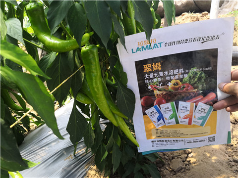 復(fù)合肥料，拉姆拉