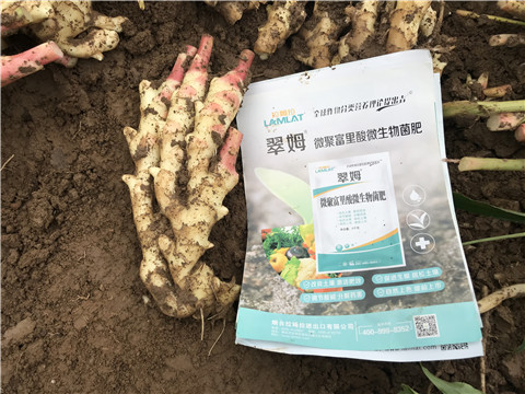 微生物菌劑，翠姆，拉姆拉