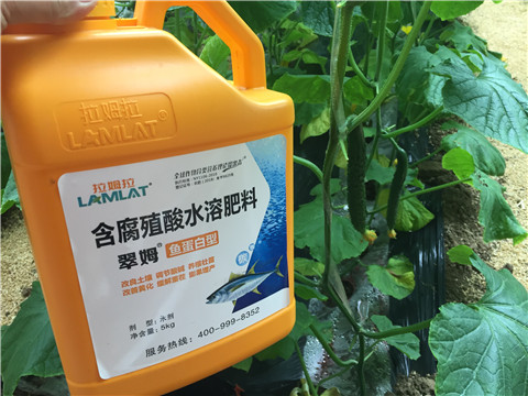 生根劑，魚蛋白水溶肥，拉姆拉