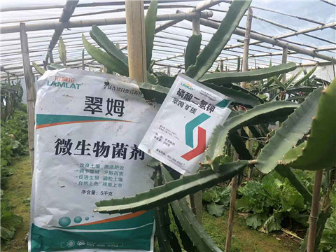 磷酸二氫鉀，翠姆，拉姆拉