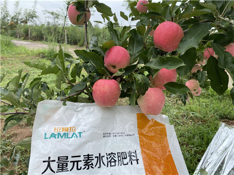 水溶肥，翠姆，拉姆拉