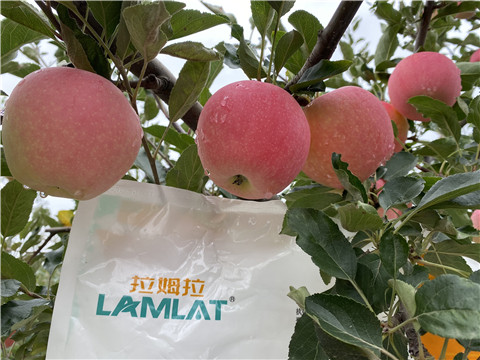 水溶肥，翠姆，拉姆拉