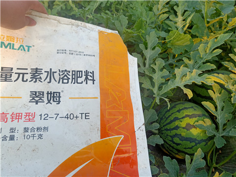 水溶肥，拉姆拉，翠姆