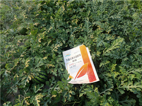 水溶肥，拉姆拉，翠姆