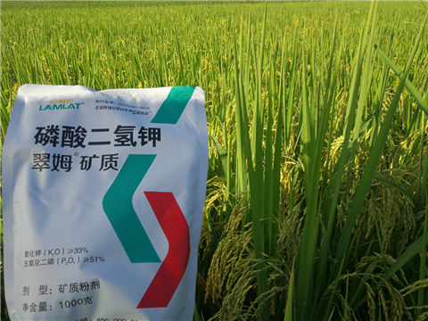 葉面肥，水稻灌漿肥，拉姆拉