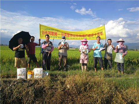 葉面肥，水稻灌漿肥，拉姆拉