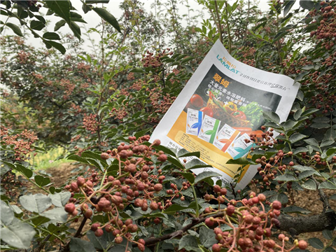 花椒種植，大量元素水溶肥，翠姆