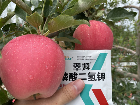 高鉀水溶肥，磷酸二氫鉀，拉姆拉，翠姆