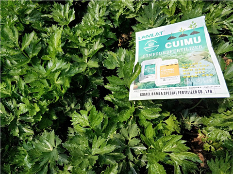 高鉀水溶肥，磷酸二氫鉀，拉姆拉，翠姆