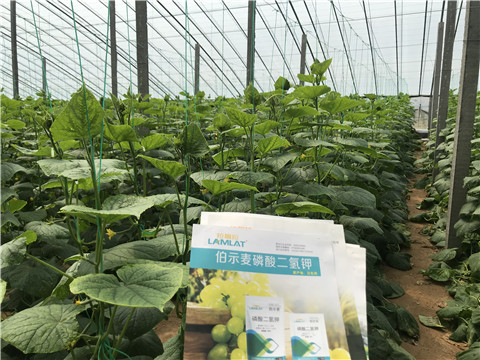 水溶肥，拉姆拉