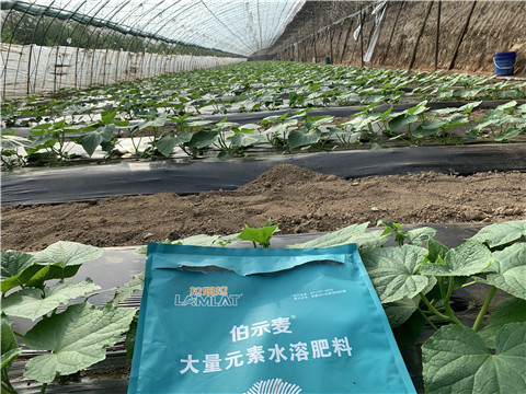 水溶肥，拉姆拉