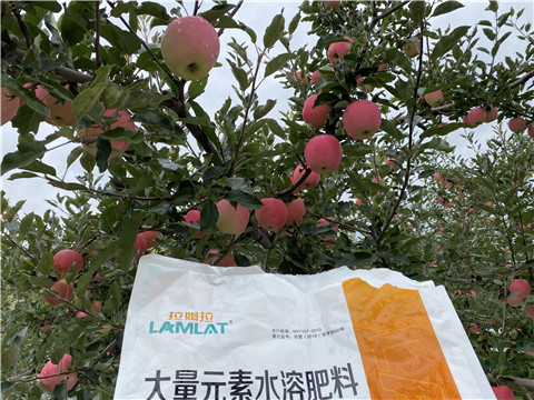 進口水溶肥品牌，拉姆拉，翠姆