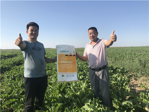 進口水溶肥品牌，拉姆拉，翠姆