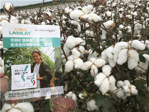 進(jìn)口水溶肥，翠姆，拉姆拉