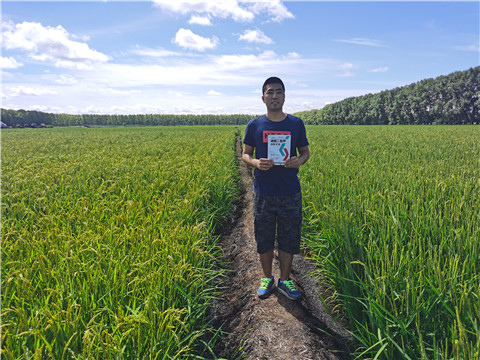 磷酸二氫鉀，拉姆拉，翠姆