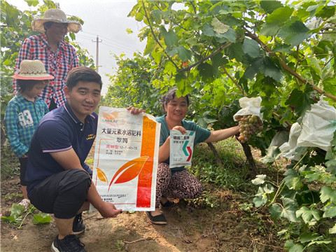 進(jìn)口水溶肥，拉姆拉