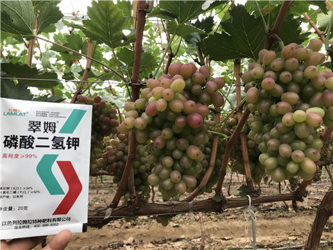 進(jìn)口水溶肥，拉姆拉